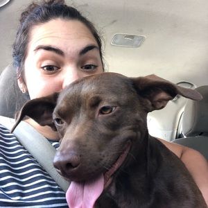 Meet your Posher, Madeline